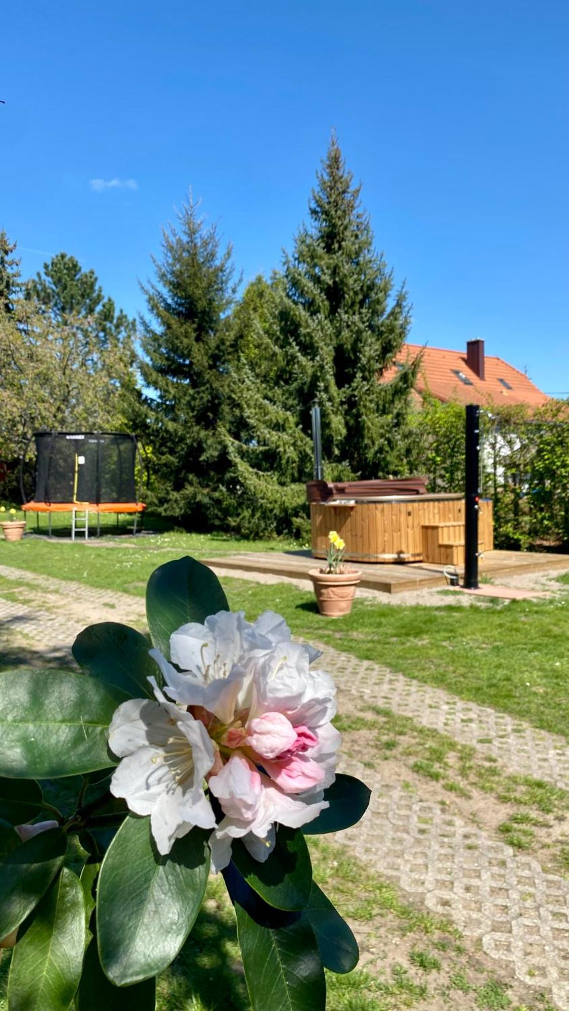 Vila Evio Třeboň Eksteriør bilde